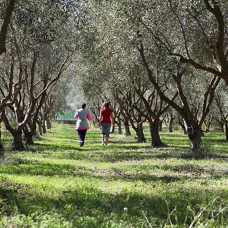 Agriturismo A'Sena-Runcatini Ciminà Esterno foto